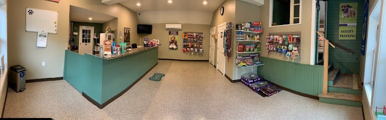 Dog day care in Holderness New Hampshire White Mountain College for Pets and Boarding Lodge 1