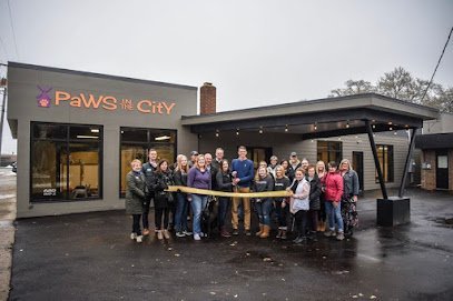 Dog day care in Holland Michigan Paws in the City 1