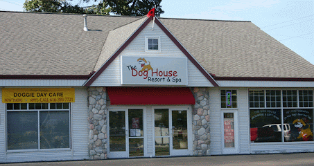 Dog day care in Holland Michigan The Dog House Resort Spa 1