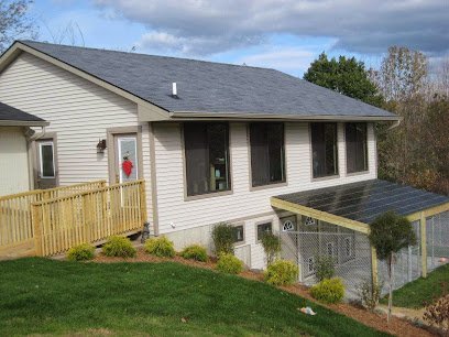 Dog day care in Holly Michigan Wag Purr Elite Pet Boarding 1