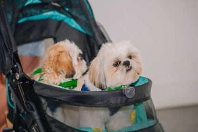 Dog day care in Honolulu Hawaii Alii Animal Unleashed 1