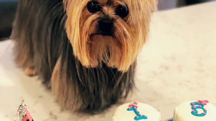 Dog day care in Houston Texas Demi s Dog House 1