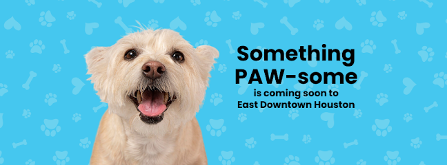 Dog day care in Houston Texas Dog BnB 1