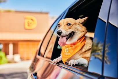 Dog day care in Houston Texas Dogtopia of Houston W. Alabama Street 1