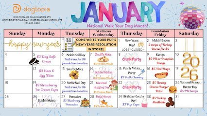 Dog day care in Houston Texas Dogtopia of Houston Washington Ave 1