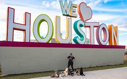Dog day care in Houston Texas Love For Dogs 1