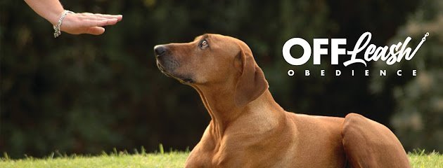 Dog day care in Houston Texas Off Leash Obedience 1