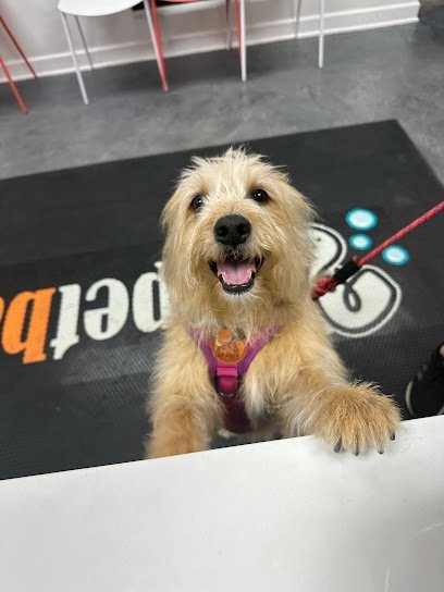 Dog day care in Houston Texas Petbar Boutique The Heights 1