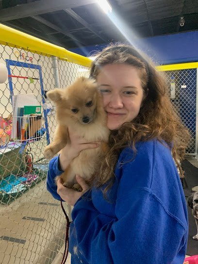 Dog day care in Houston Texas Preppy Pet Northwest Houston 1