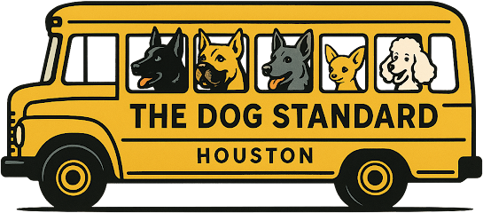 Dog day care in Houston Texas The Dog Standard 1