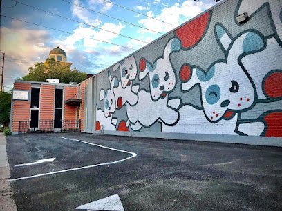 Dog day care in Houston Texas Wag n World 1