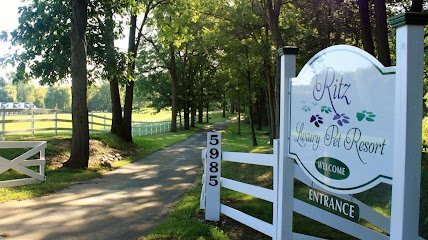 Dog day care in Howell Michigan Pet Ritz 1