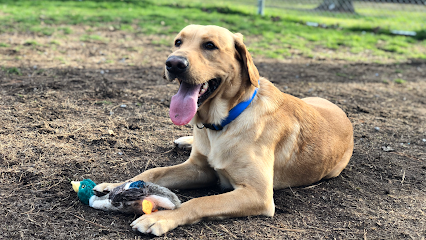 Dog day care in Hubert North Carolina Personal Touch Pet Grooming Boarding LLC 1