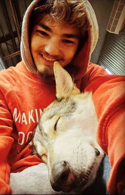 Dog day care in Hurst Texas Camp Bow Wow Colleyville 1