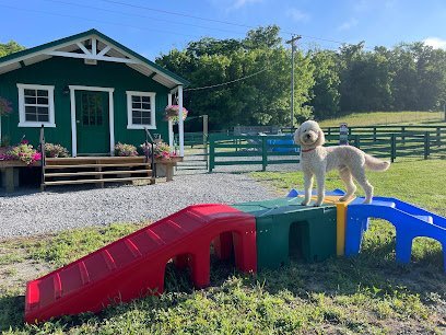 Dog day care in Hustonville Kentucky To the Moon Kennel 1