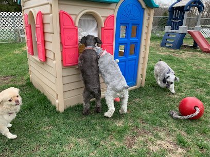 Dog day care in Ilion New York Barney s Angels 1