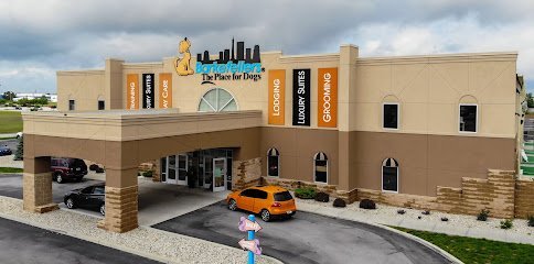 Dog day care in Indianapolis Indiana Barkefellers Indianapolis Northeast 1