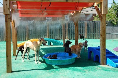 Dog day care in Indianapolis Indiana Barkefellers Indianapolis South 1