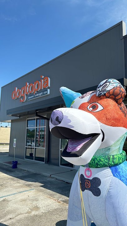 Dog day care in Indianapolis Indiana Dogtopia of Broad Ripple 1