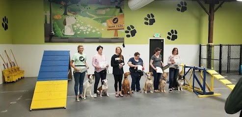 Dog day care in Indianapolis Indiana Downtown Doggie 1