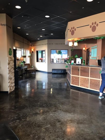 Dog day care in Indianapolis Indiana Good Dog Hotel Spa 1