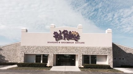 Dog day care in Indianapolis Indiana Pet Palace Indianapolis 1