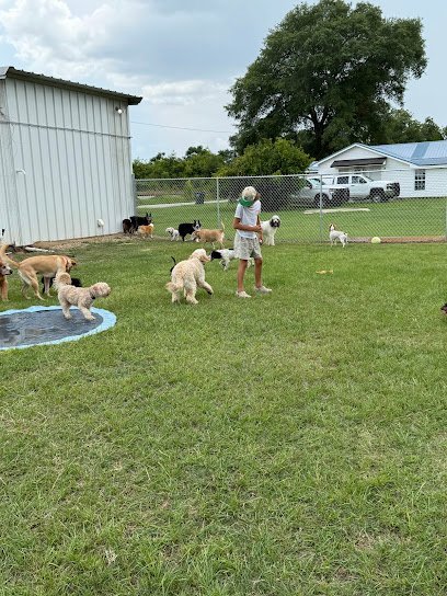 Dog day care in Iron City Georgia Waggin Tails By Casey LLC