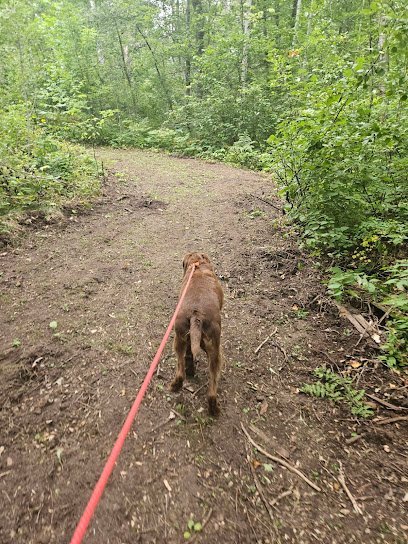 Dog day care in Ironton Minnesota Happy Tails Daycare Boarding LLC 1