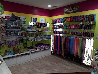 Dog day care in Jackson Michigan UNLEASHED and lovin it 1