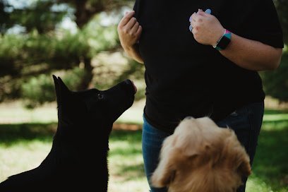Dog day care in Jackson Missouri Paw Talk 1 1