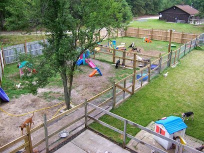 Dog day care in Jackson Township New Jersey Ain t Misbehaving s Canine Sleep Over 1