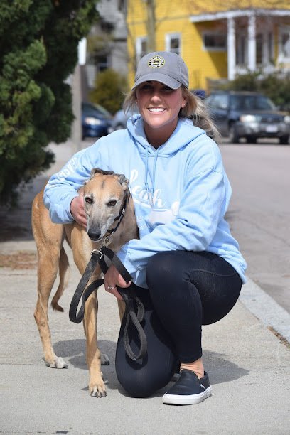 Dog day care in Jamaica Plain Massachusetts LEASH Dog Care 1