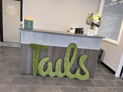 Dog day care in Jamaica Plain Massachusetts Tails 1