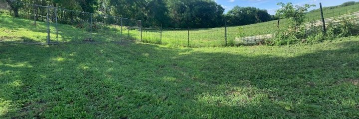 Dog day care in Janesville Minnesota Its a Ruff Life Kennel 1