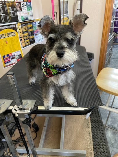 Dog day care in Jay Oklahoma Pampered Pets Grooming and Resort 1