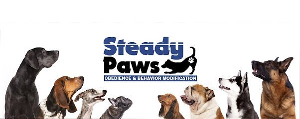 Dog day care in Jefferson City Missouri Steady Paws 1 1