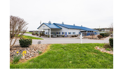 Dog day care in Jefferson City Tennessee AllDogs Canine Care Center 1