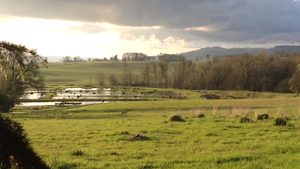 Dog day care in Jefferson Oregon Ankeny Hill Resort Boarding 1