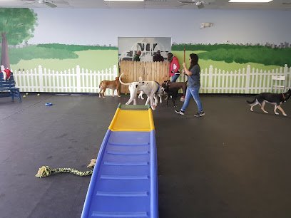 Dog day care in Joliet Illinois BrightDogs DogPark and DayCare 1