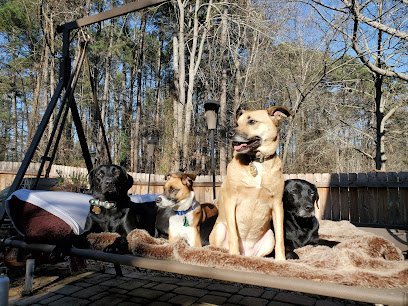 Dog day care in Jonesboro Georgia Petropolis Pet Sitting