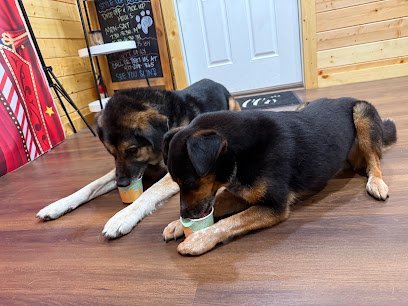 Dog day care in Joplin Missouri King Style Dog Boarding LLC 1