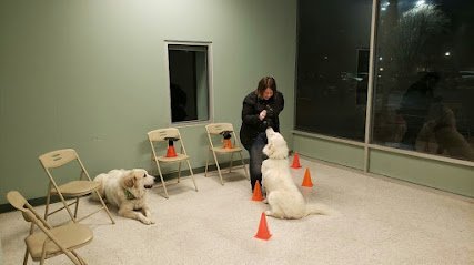 Dog day care in Joplin Missouri Remi s K9 Academy Pet Resort LLC 1 1