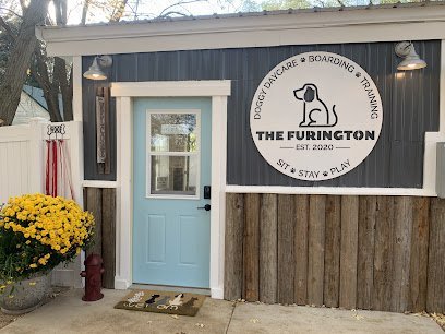 Dog day care in Jordan Minnesota The Furington 1