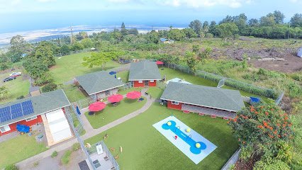 Dog day care in Kailua Kona Hawaii Paws University 1