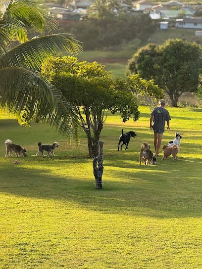 Dog day care in Kalaheo Hawaii Kauai Pup Club LLC 1