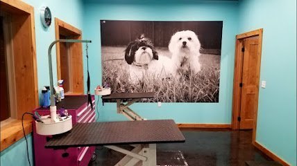 Dog day care in Kanawha Iowa Pampered Pets Retreat Spa 1