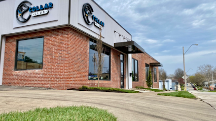 Dog day care in Kansas City Missouri Collars Dog Resort 1