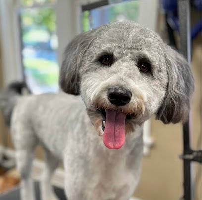 Dog day care in Kansas City Missouri Elegant Canine 1 1