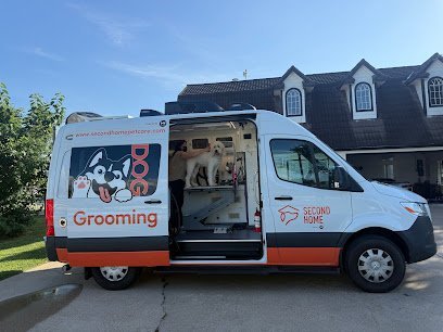 Dog day care in Katy Texas Second Home Pet Care Katy 1