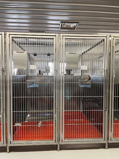 Dog day care in Kearney Nebraska Happy Tails Pet Lodge 1 1